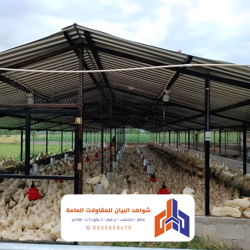 حضائر دجاج أبها